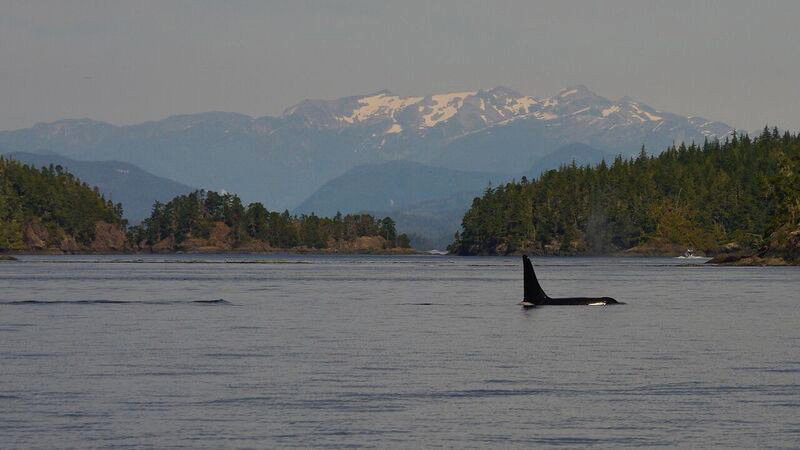 5 Off-the-Grid Vacations on Vancouver Island 7
