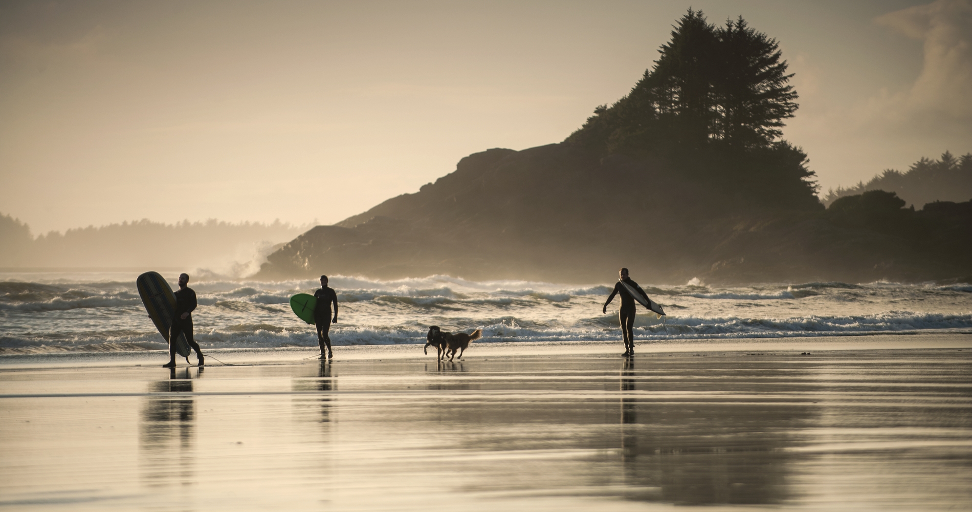Three people wearing wetsuits and carrying surfboards walk along Cox Bay in Tofino. A dog scampers along the beach. The sun is setting and the light is dim. Behind them there is a large rocky outcrop with a tree on top.