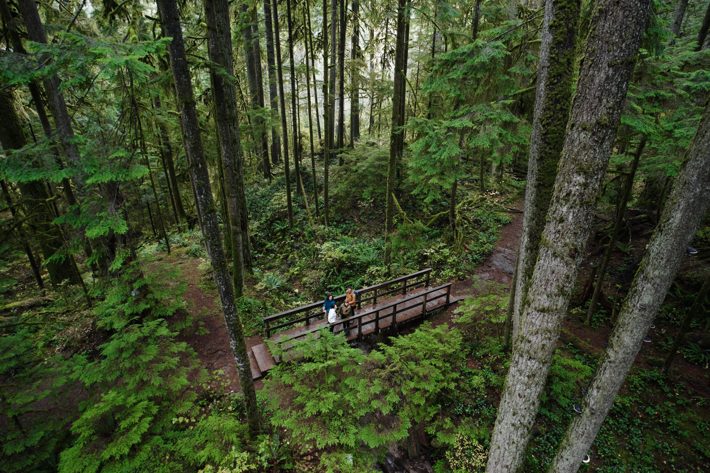 Friends hiking along a forest trail in Lynn Canyon Park, North Vancouver.